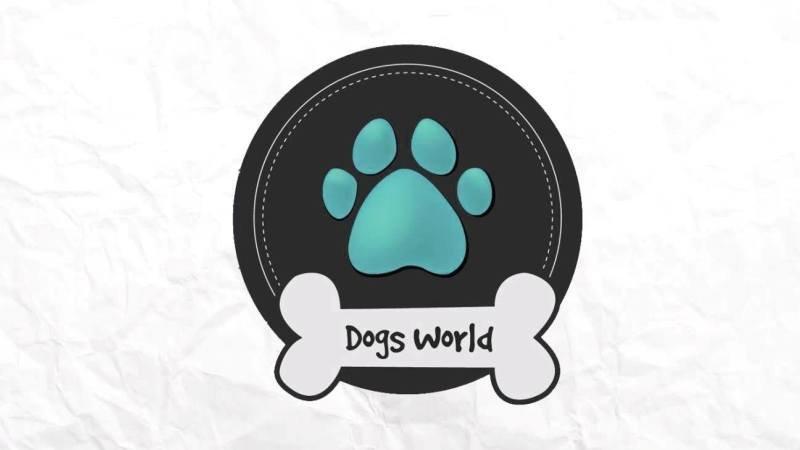 Dogs World Pet Center